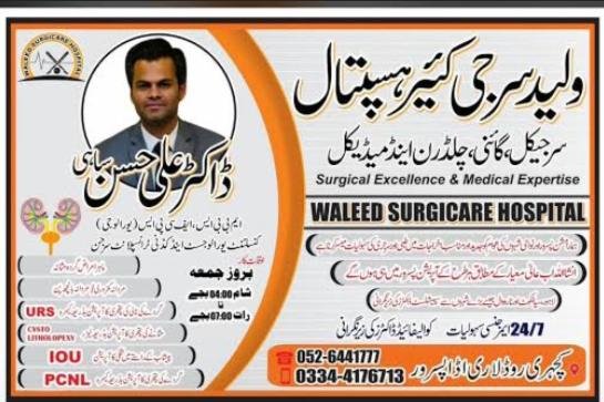 Dr Ali Hassan sahi